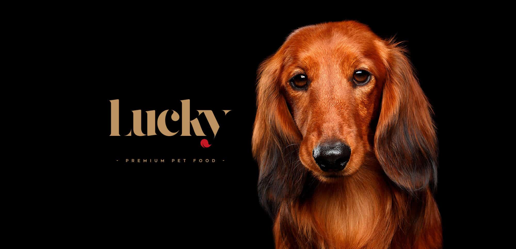 Lucky - Premium Pet Food